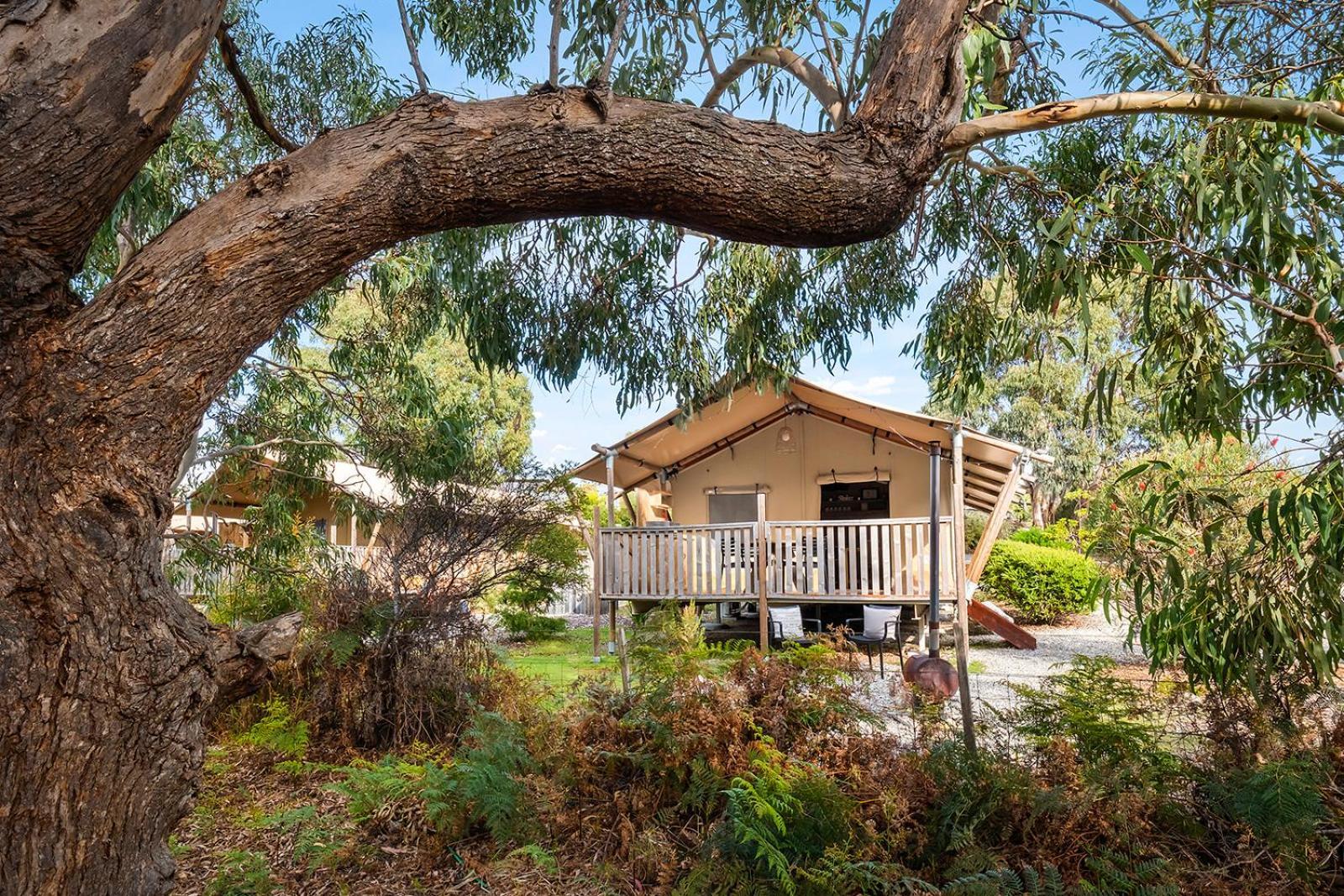Scamander Sanctuary Holiday Park Eksteriør bilde